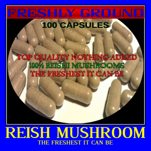 Red reishi mushroom ganoderma - reishi,