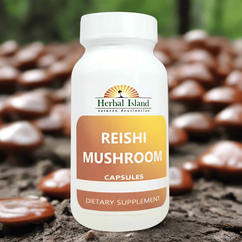 Reishi mushroom capsules - mushroom,