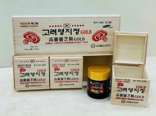 Korean lingzhi reishi mushroom - lingzhi,