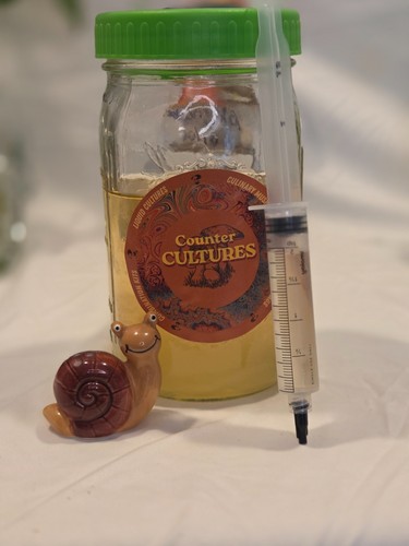 10ml gourmet liquid culture - 10ml+,