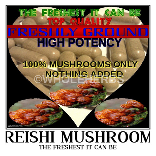 Reishi red mushroom - red,