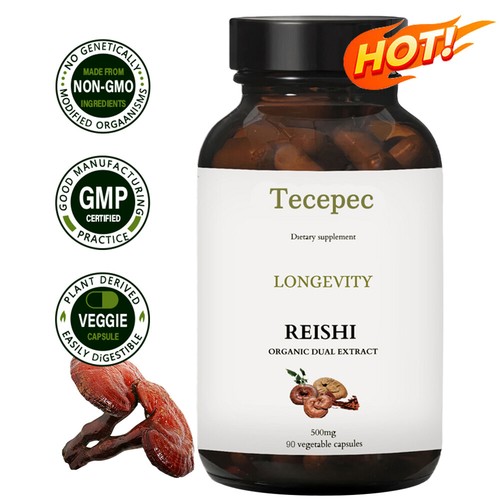 Reishi mushroom extract 500mg - reishi,